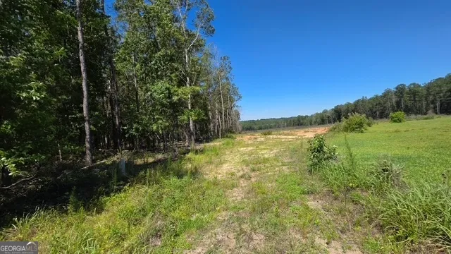 0 Willow Lake RD Fort Valley, GA 31030