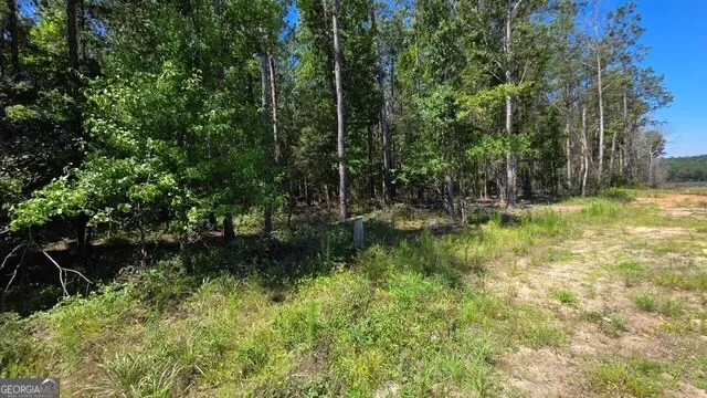 0 Willow Lake RD Fort Valley, GA 31030