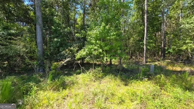 0 Willow Lake RD Fort Valley, GA 31030