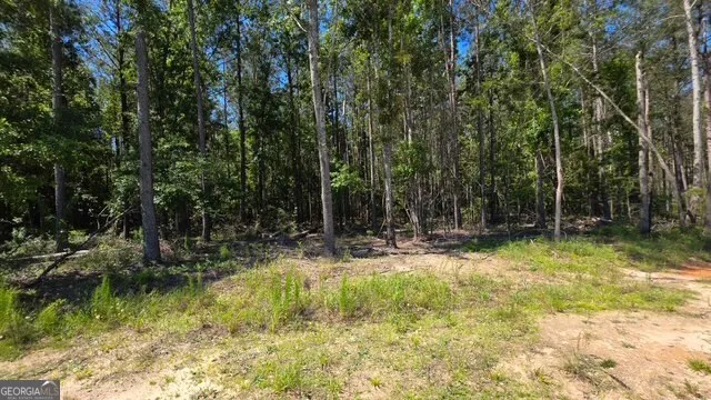 0 Willow Lake RD Fort Valley, GA 31030