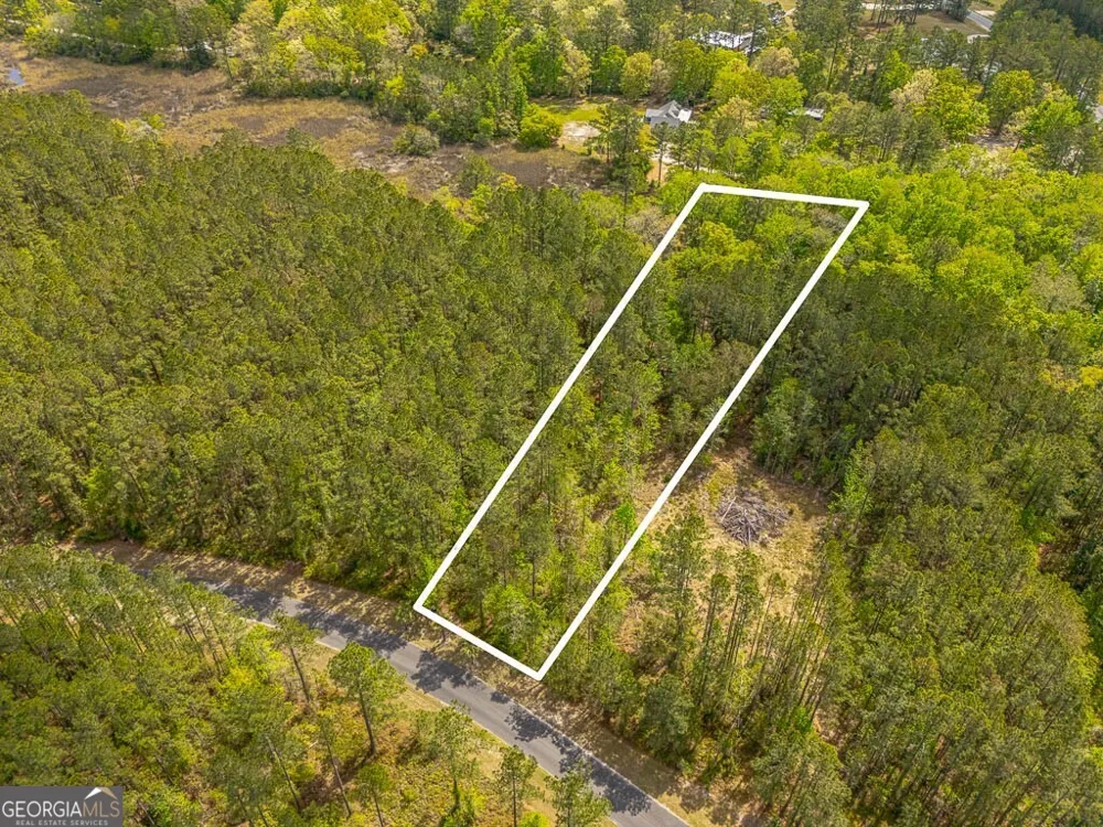 LOT 4 Waverly LN White Oak, GA 31568