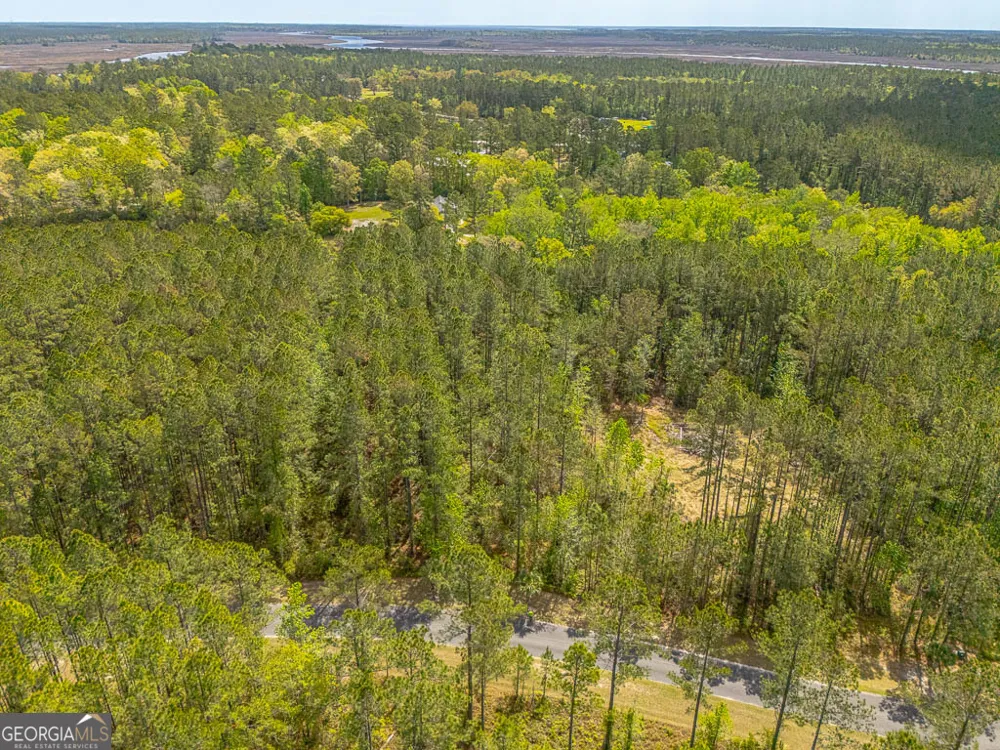 LOT 4 Waverly LN White Oak, GA 31568