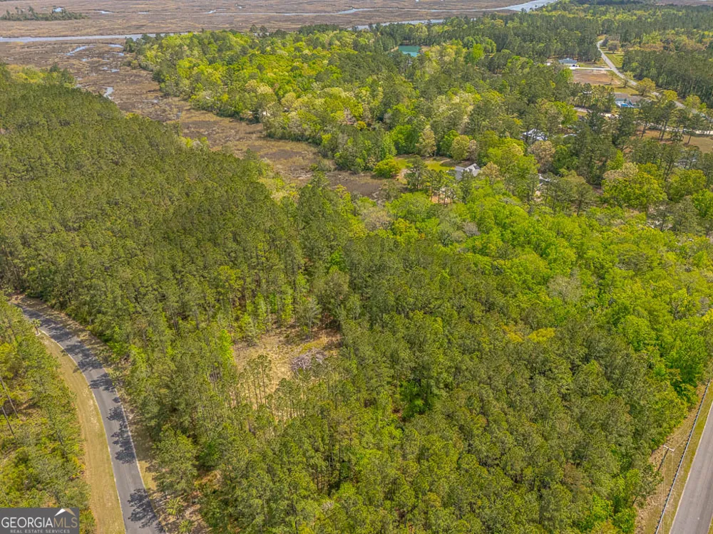 LOT 4 Waverly LN White Oak, GA 31568