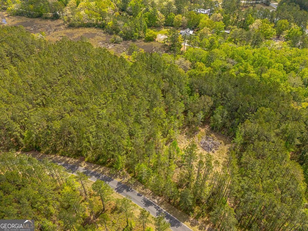 LOT 4 Waverly LN White Oak, GA 31568