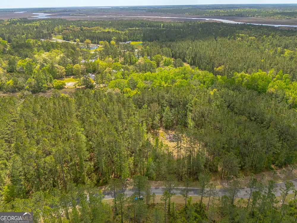 LOT 4 Waverly LN White Oak, GA 31568