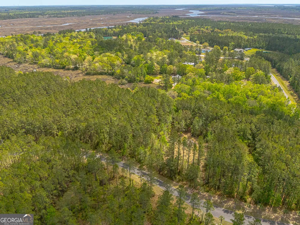 LOT 4 Waverly LN White Oak, GA 31568