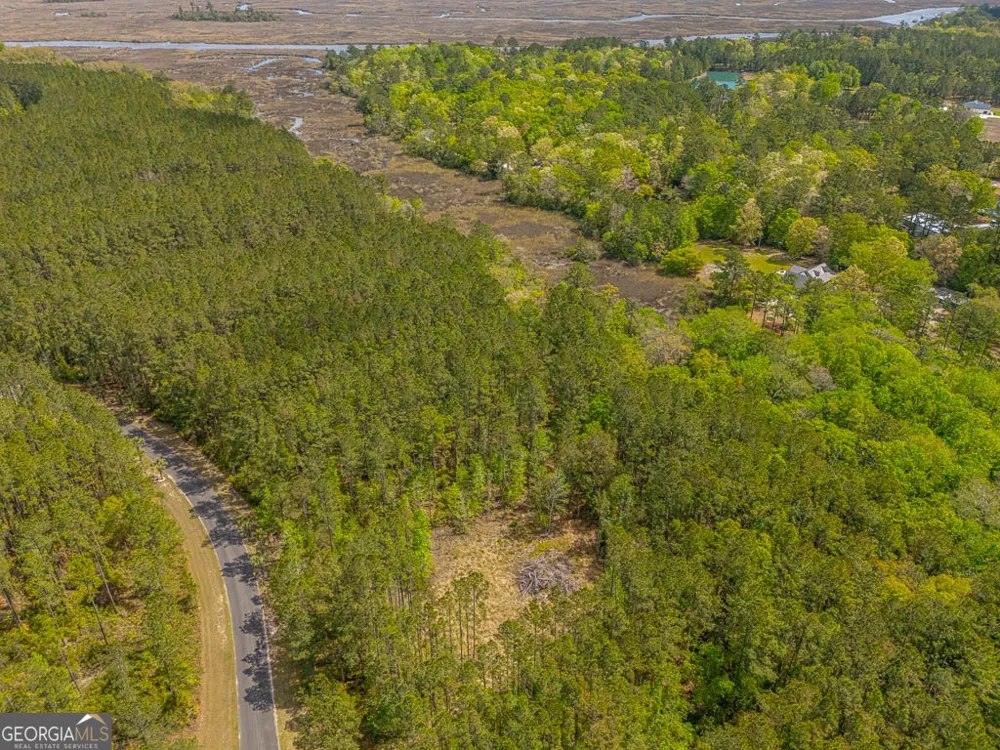 LOT 4 Waverly LN White Oak, GA 31568