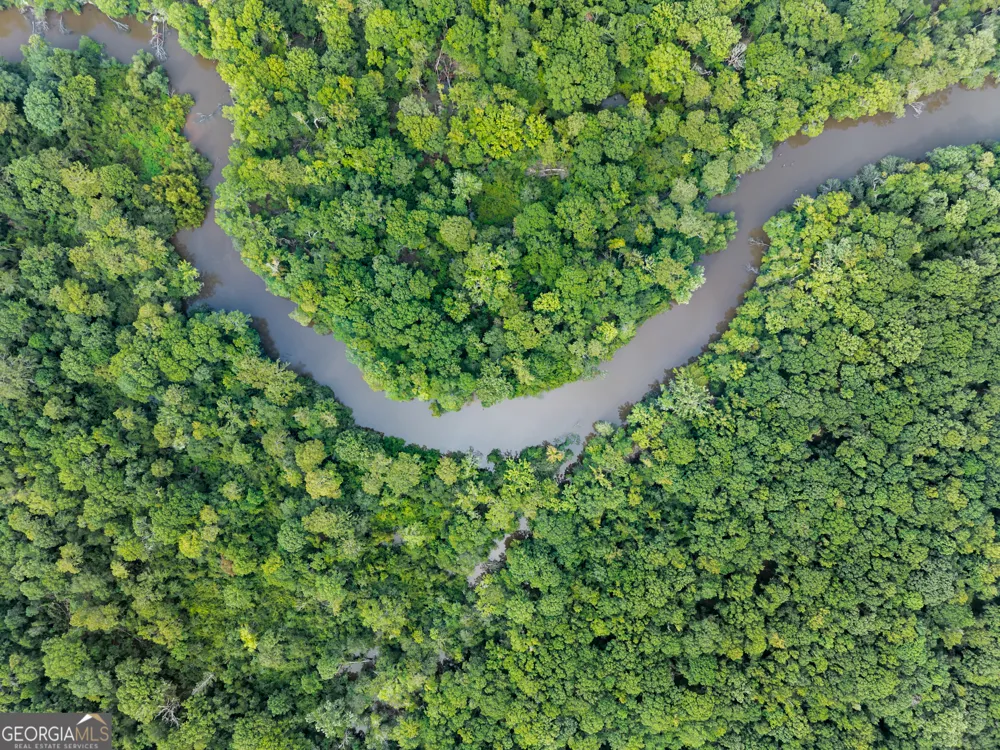 232 ACRES Old River RD N Statesboro, GA 30461