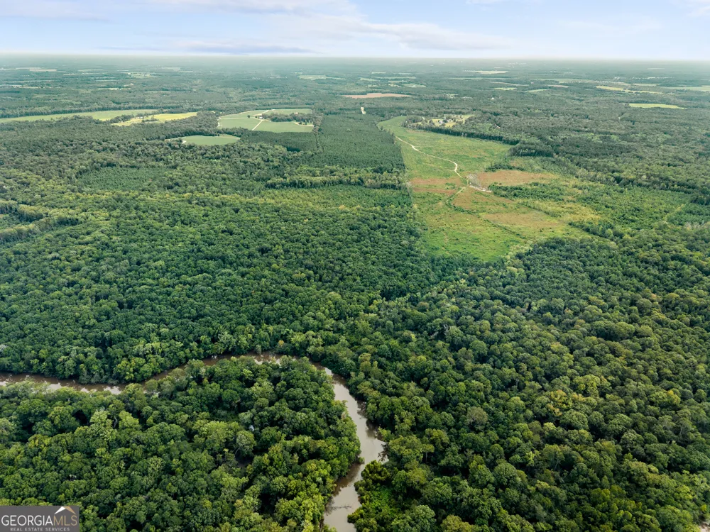 232 ACRES Old River RD N Statesboro, GA 30461