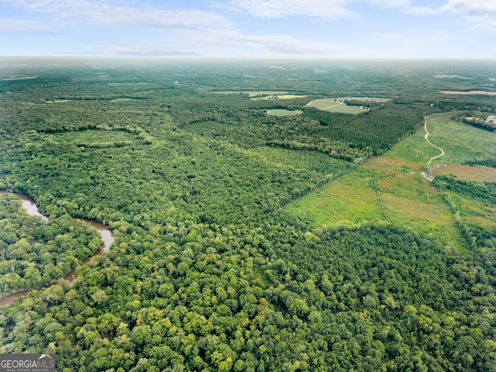 232 ACRES Old River RD N Statesboro, GA 30461