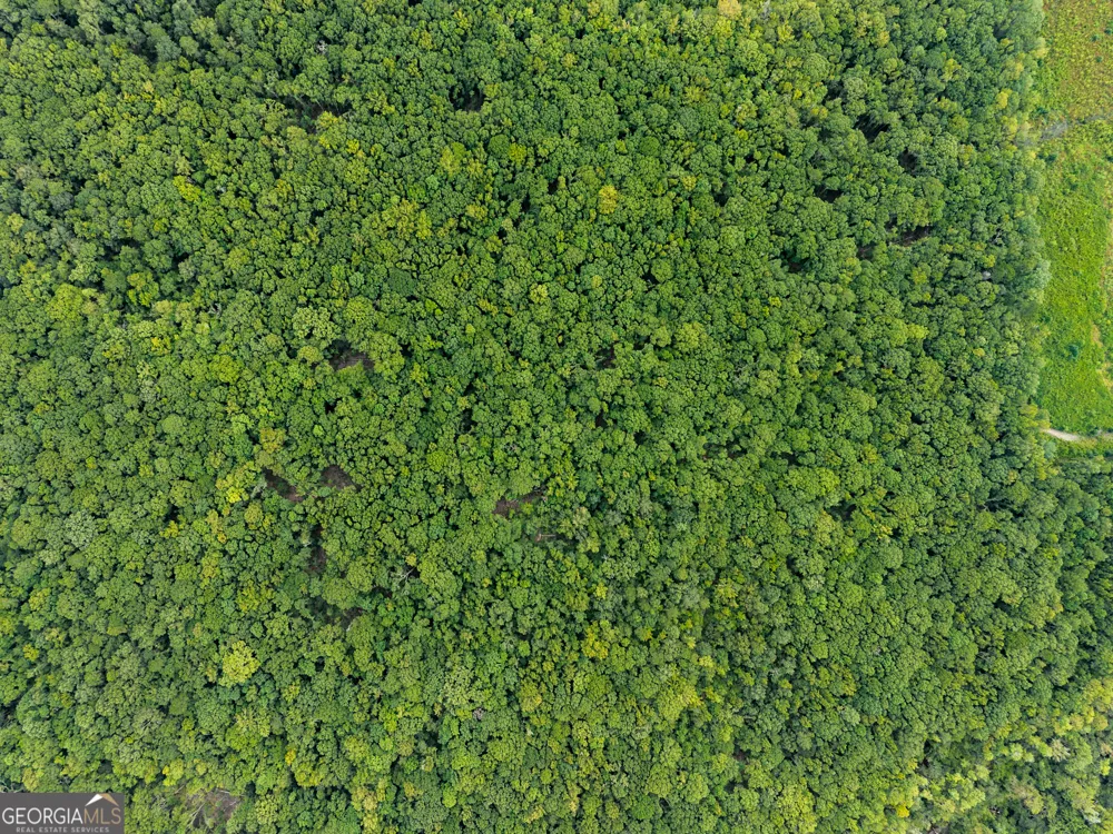 232 ACRES Old River RD N Statesboro, GA 30461