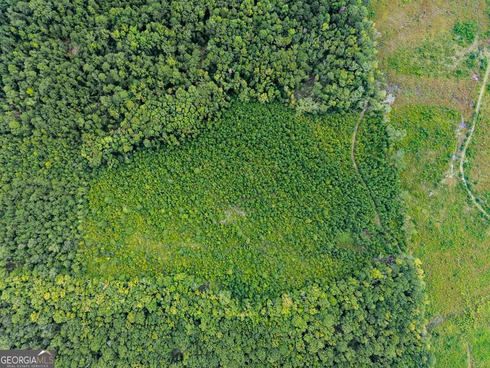 232 ACRES Old River RD N Statesboro, GA 30461