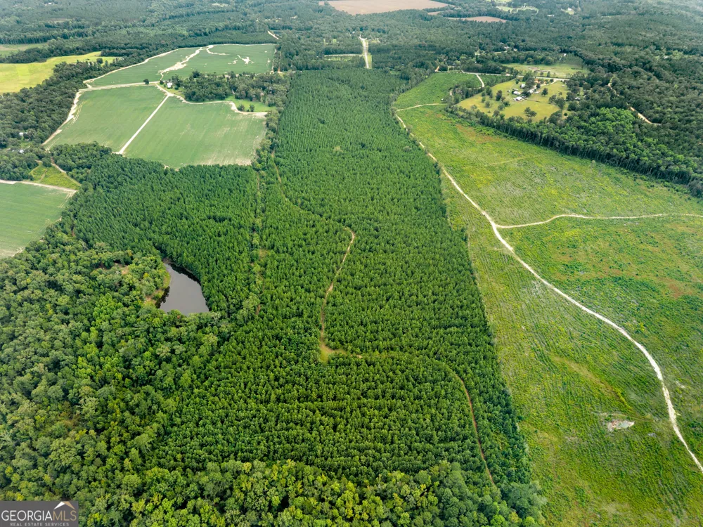232 ACRES Old River RD N Statesboro, GA 30461
