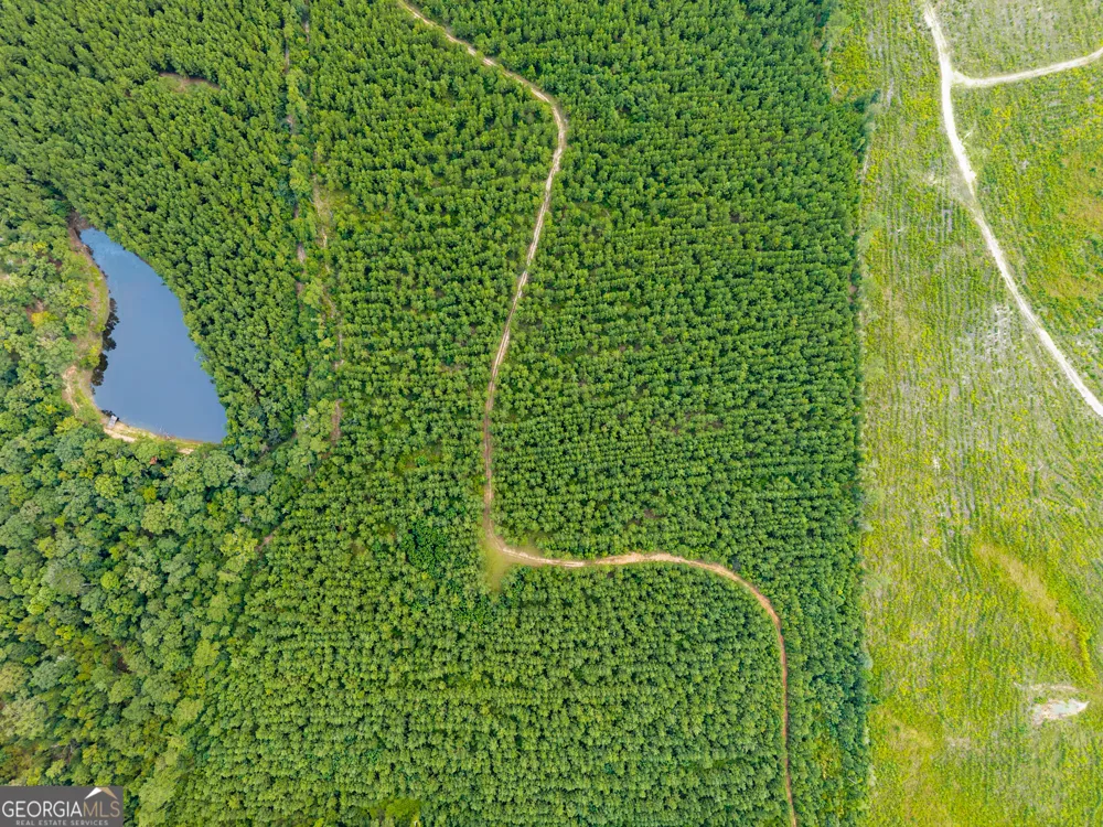 232 ACRES Old River RD N Statesboro, GA 30461
