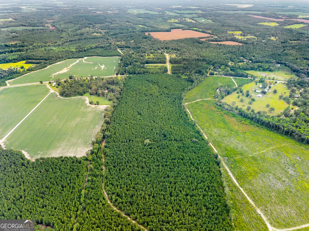 232 ACRES Old River RD N Statesboro, GA 30461