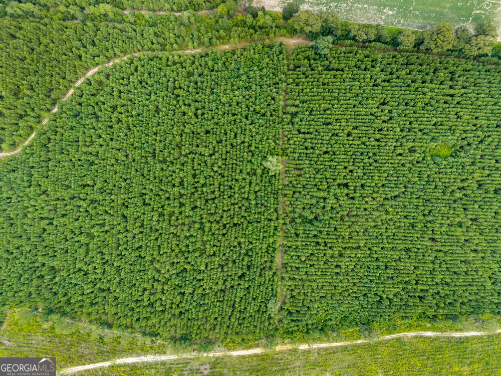 232 ACRES Old River RD N Statesboro, GA 30461