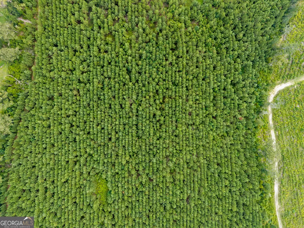 232 ACRES Old River RD N Statesboro, GA 30461
