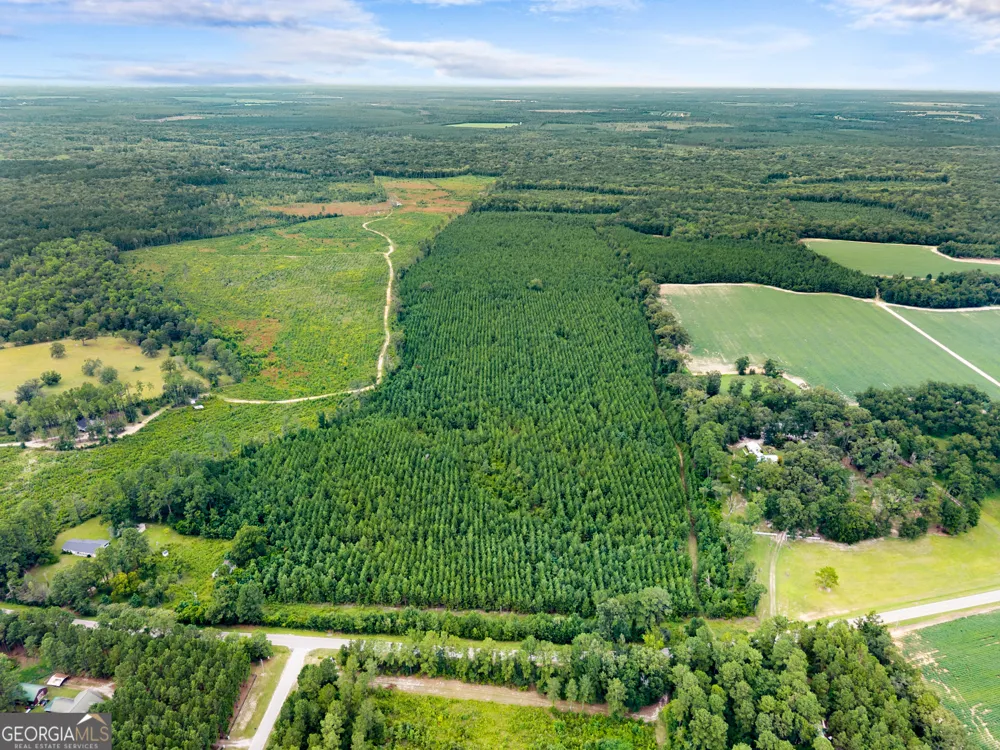 232 ACRES Old River RD N Statesboro, GA 30461