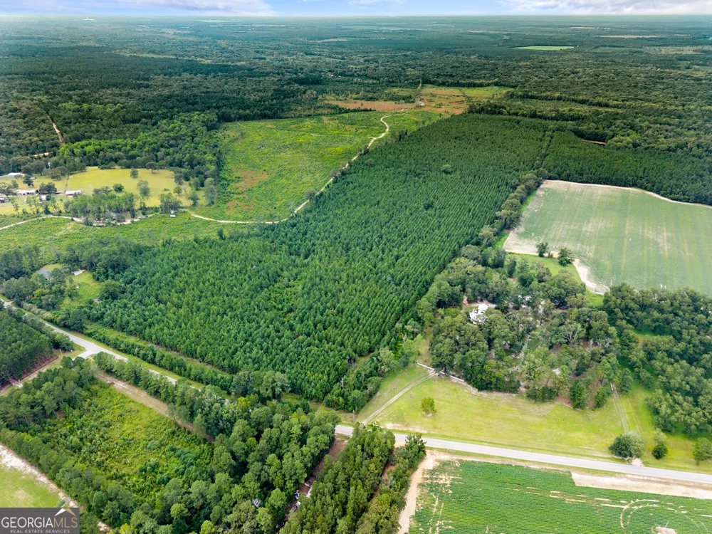232 ACRES Old River RD N Statesboro, GA 30461