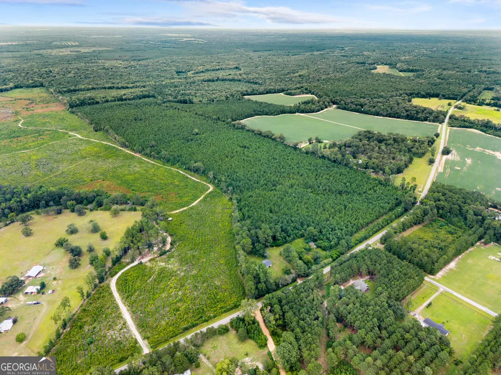232 ACRES Old River RD N Statesboro, GA 30461