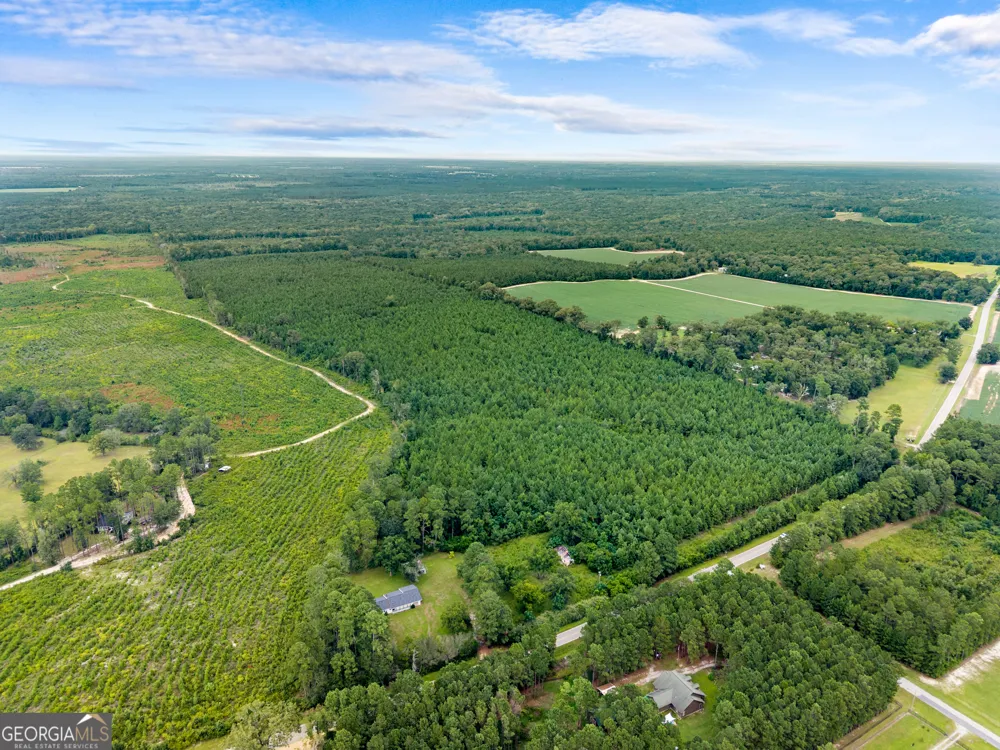232 ACRES Old River RD N Statesboro, GA 30461