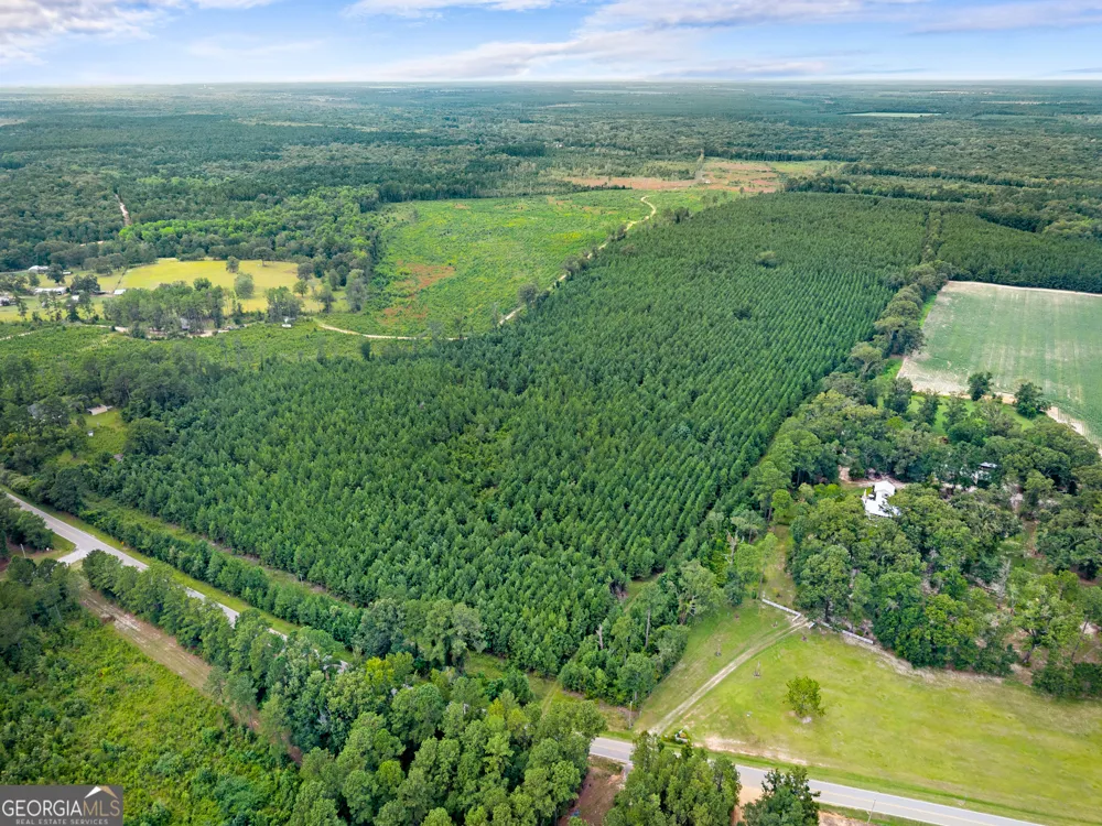 232 ACRES Old River RD N Statesboro, GA 30461