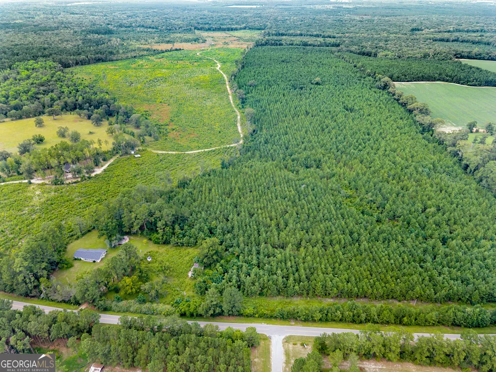 232 ACRES Old River RD N Statesboro, GA 30461