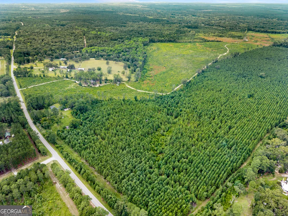 232 ACRES Old River RD N Statesboro, GA 30461