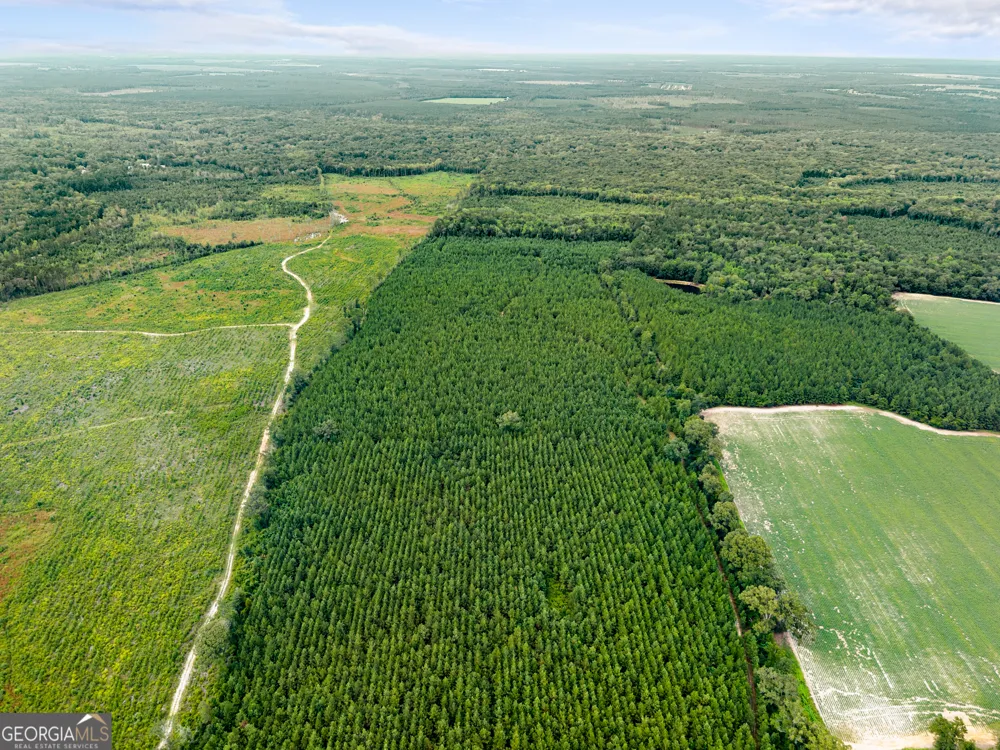 232 ACRES Old River RD N Statesboro, GA 30461
