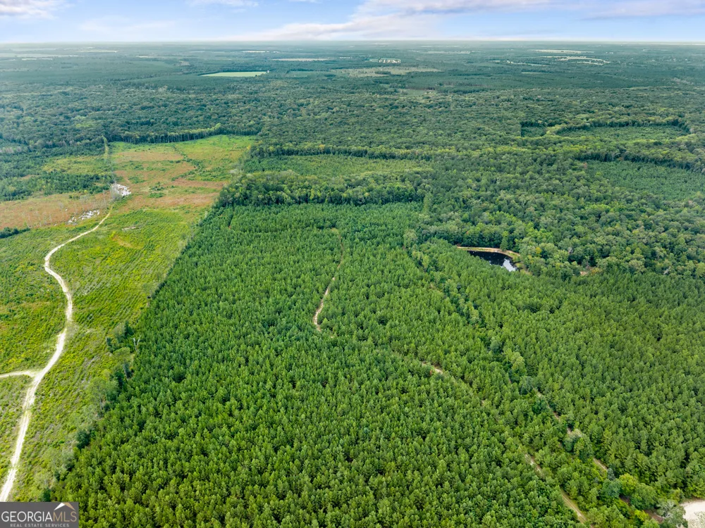 232 ACRES Old River RD N Statesboro, GA 30461