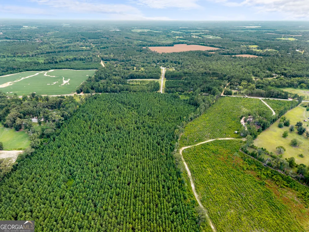 232 ACRES Old River RD N Statesboro, GA 30461