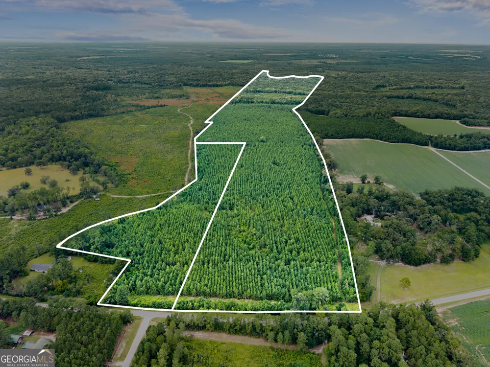 232 ACRES Old River RD N Statesboro, GA 30461