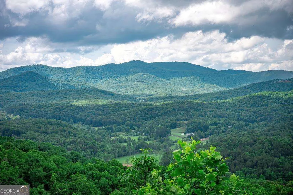 193 Pontoosuc DR Mineral Bluff, GA 30559
