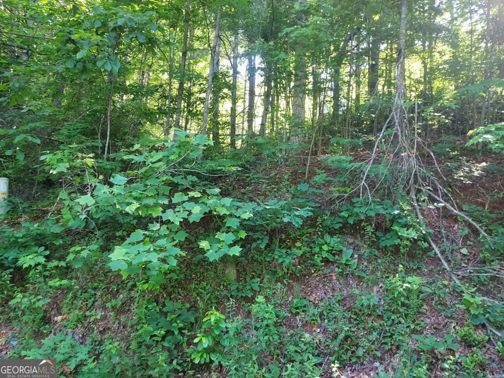 0 DRIVER LANE Sky Valley, GA 30537