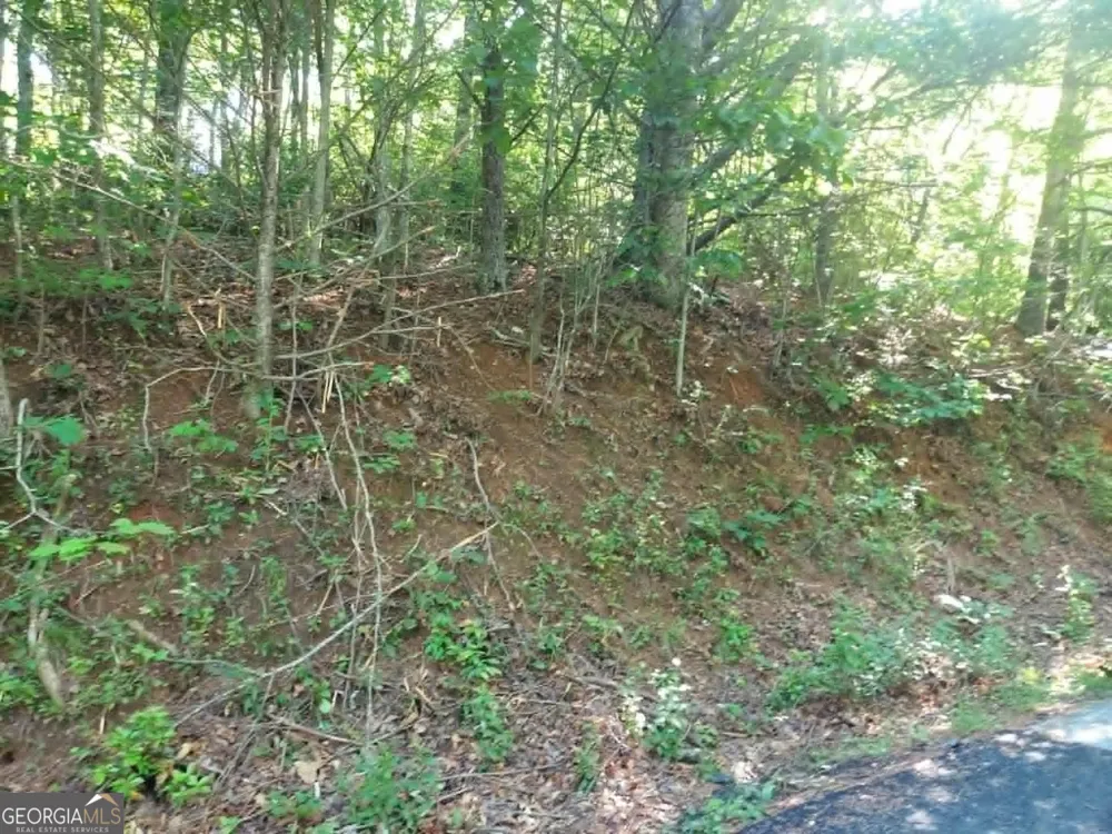 0 DRIVER LANE Sky Valley, GA 30537