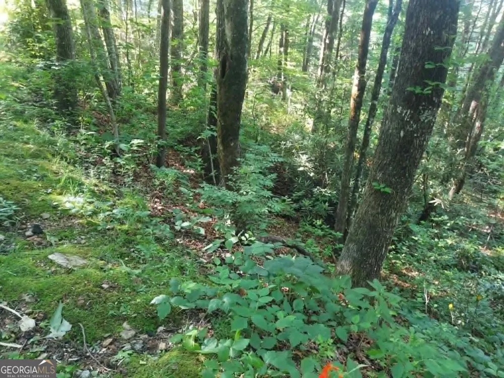 0 DRIVER LANE Sky Valley, GA 30537