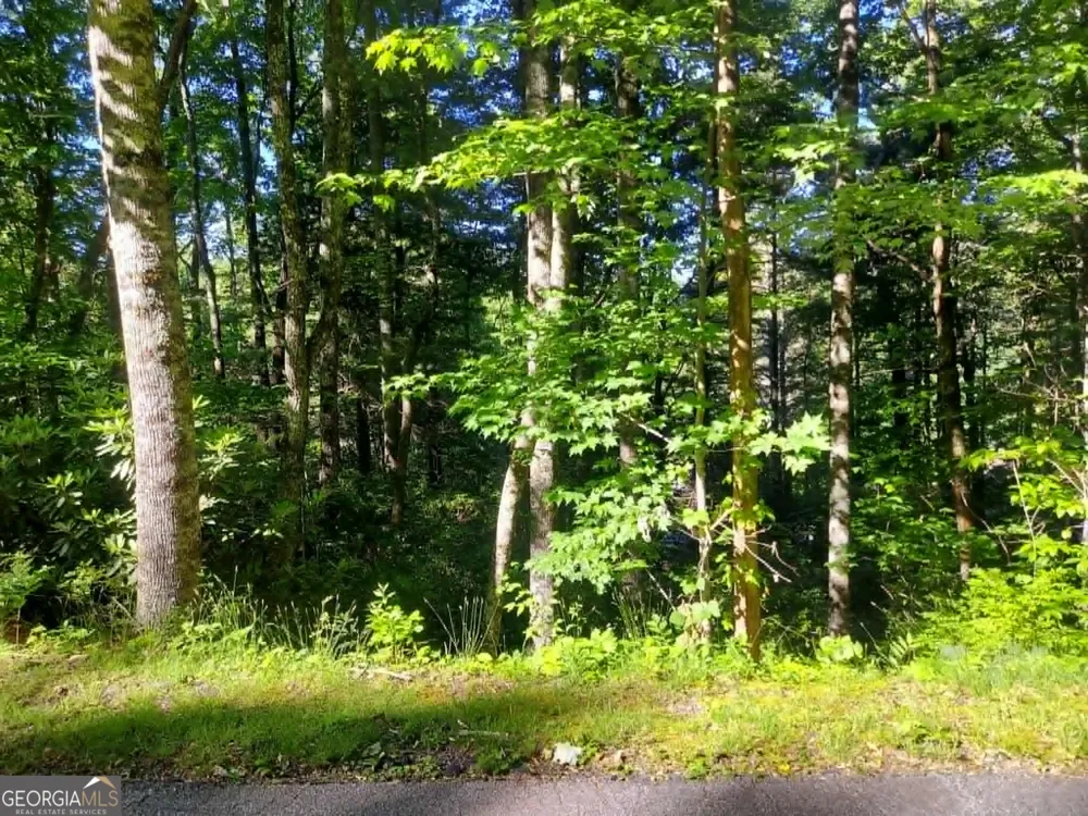 0 DRIVER LANE Sky Valley, GA 30537