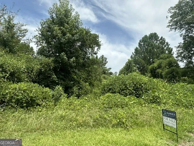 0 Cail ST Sylvania, GA 30467