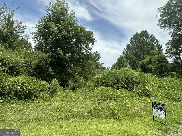 0 Cail ST Sylvania, GA 30467