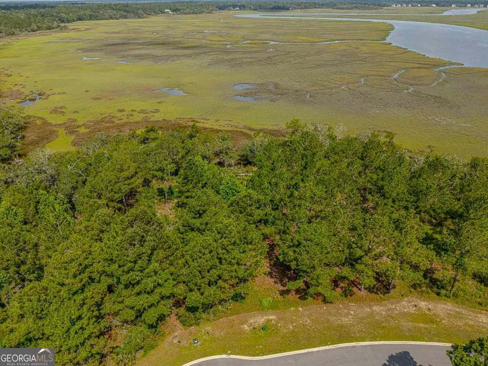 LOT 98 Wards WAY Waverly, GA 31565