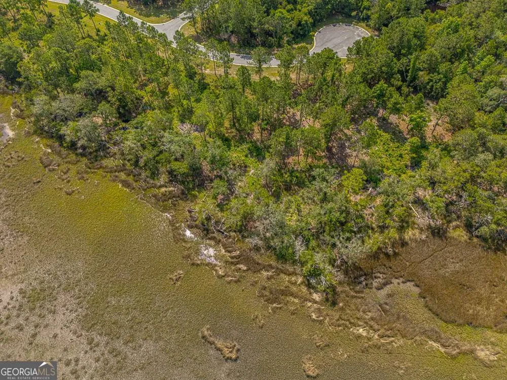 LOT 98 Wards WAY Waverly, GA 31565