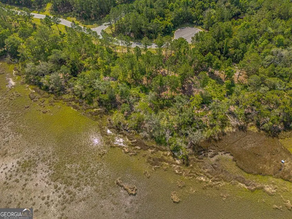 LOT 98 Wards WAY Waverly, GA 31565