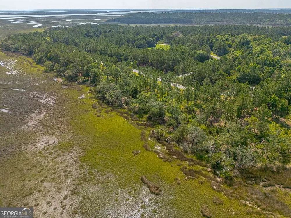 LOT 98 Wards WAY Waverly, GA 31565