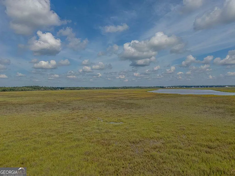 LOT 98 Wards WAY Waverly, GA 31565