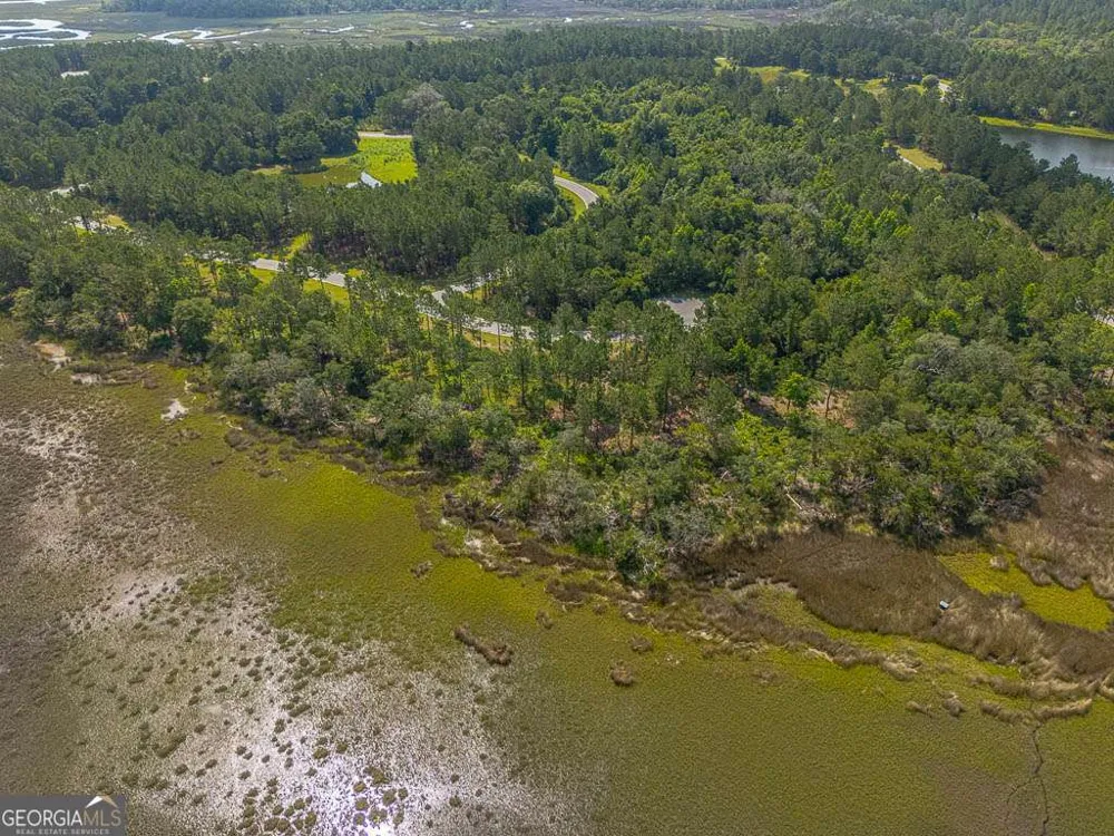 LOT 98 Wards WAY Waverly, GA 31565