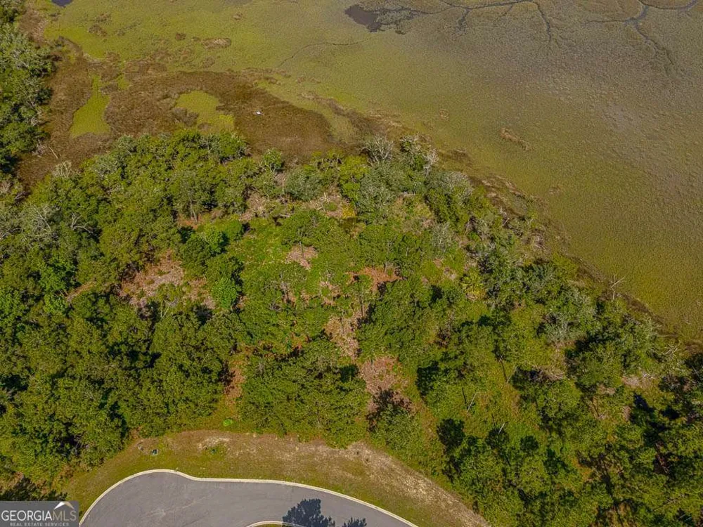 LOT 98 Wards WAY Waverly, GA 31565