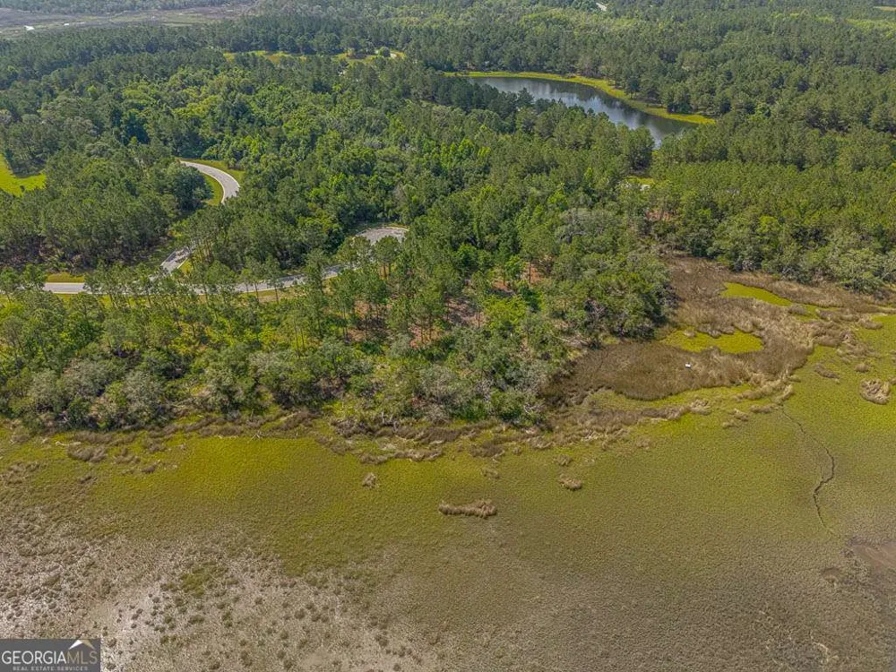 LOT 98 Wards WAY Waverly, GA 31565