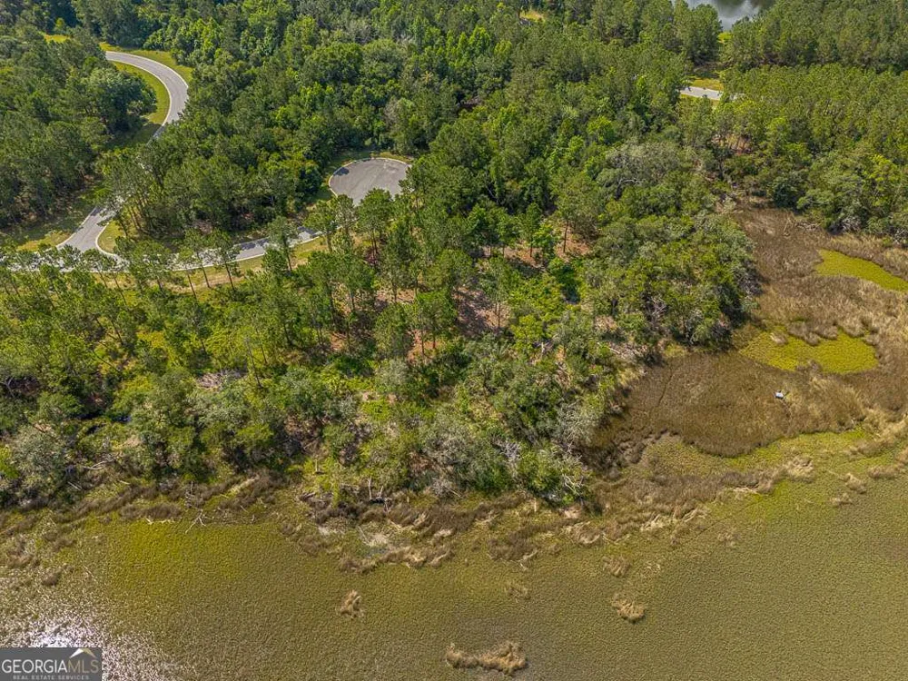 LOT 98 Wards WAY Waverly, GA 31565