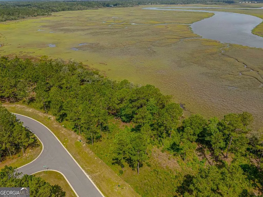 LOT 98 Wards WAY Waverly, GA 31565