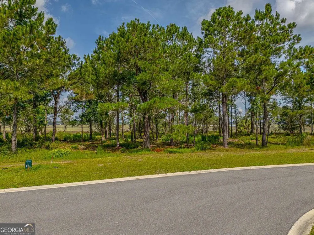LOT 98 Wards WAY Waverly, GA 31565